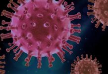 新變種病毒Omicron釀大恐慌?你該知道這8事