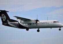 客戶投訴紐航機票貴,政府擬資助小航空公司促競爭