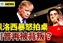 国际新闻眼