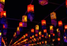 為方便疫情聯繫追蹤 今年奧克蘭元宵燈會入場需網上訂票