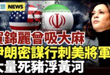 国际新闻
