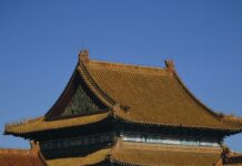故宮建造的木材來自哪裡?為何不易腐爛