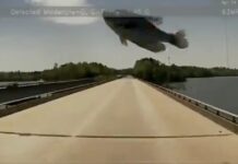 海鷗送外賣 美國男子高速路上被魚砸車窗