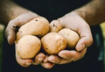 6種食物護心通血管 有效去除體內「垃圾」