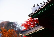 周武帝犯下什麼重大罪業 竟墮入地獄?