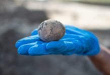 太罕見!以色列考古學家挖出1000年前的雞蛋