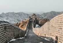 一個人能聰明無比 竟與他的前世有關?