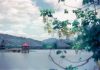 「人過五十 莫管兩人」 你知道是哪種兩人嗎?