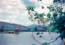 「人過五十 莫管兩人」 你知道是哪種兩人嗎?