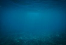 海底城市遺跡可能不是亞特蘭提斯