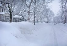 關於雪的兩個故事 令人感動萬分