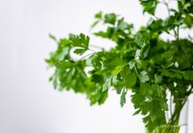 常見的氣味特殊食物 神奇功效出人意外