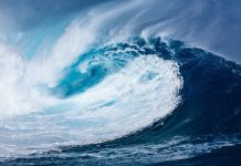 專家警告:霍克灣將發生海嘯,規模可能與2011年日本海嘯一樣