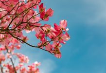 老祖宗的告誡:錢有3不借 禮有3不隨 路有3不走