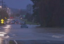 連夜暴雨造成奧克蘭部分地區發生洪水 至少50戶被疏散