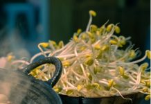 1把綠豆 1個水壺 「豆芽」菜3天上桌