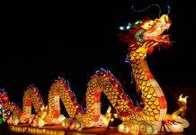 闊別兩年的元宵燈節將在Auckland Showgrounds舉辦