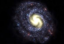 NASA太空人:宇宙中到處都有外星物種
