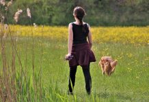 英國防部UFO解密:一婦女出門遛狗遇到外星人