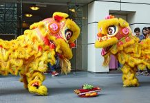 虎年奧克蘭新春花市同樂日活動被取消,20多年來首次