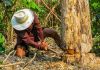 世上最危險的19大工作 哪些你沒猜到?