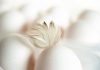 3種變質雞蛋千萬別買 如何健康吃雞蛋?