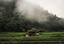 泰國男子第一次為妻子做飯 竟天人永隔