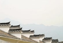 兩個令人震撼的真實故事