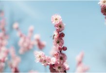短短28字讓你知道人間最好的時候