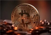 加女接假邊境局電話 比特幣付款損失近8千