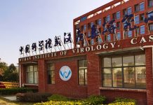 新泄漏文件支持武漢實驗室泄漏理論
