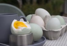 食用雞蛋、鴨蛋和鵝蛋對身體有哪些益處?