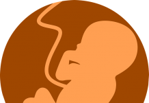子宮內的胎兒已經可以辨認人臉?