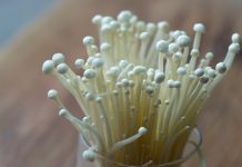 唯一不使用農藥化肥的蔬菜是什麼菜?