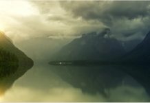 眼睛「看到」的世界是真實的嗎?