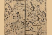談「三國」 有一重點是人人都要知道的