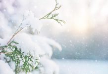 冬天的12種雅稱 你都聽過嗎?