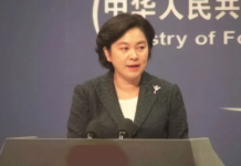 提二戰曾庇護猶太人 華春瑩亂邀功被打臉
