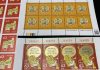 日本原本没老虎 还以为豹是母老虎