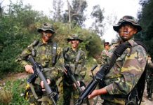 臺灣「海豹突擊隊」將如何抵禦共軍入侵?