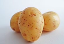 14種常見食材 發芽了還能吃嗎?