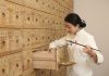 食療養生:「平民」中藥效果一級棒