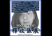 報導武漢疫情遭判刑的張展近況通報