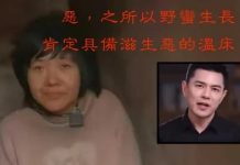 央視前主持人為「8孩母」發聲 一句話引大眾共鳴