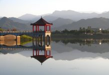 哪位高人這麼厲害 「雞犬升天」都靠他?