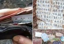 東航墜機核心區畫面曝光 民航局最新消息「未發現倖存者」