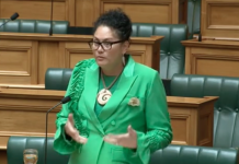 倡導人權的工黨議員Louisa Wall宣布辭職