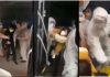 上海13天近7萬人染疫 傳軍警抓人「不配合就揍」