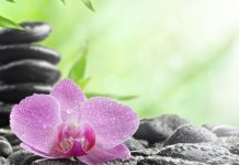10個人生問答 有理有趣有深意(組圖)