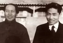 當真?史上最無辜的蛋炒飯要了毛岸英的命(圖)